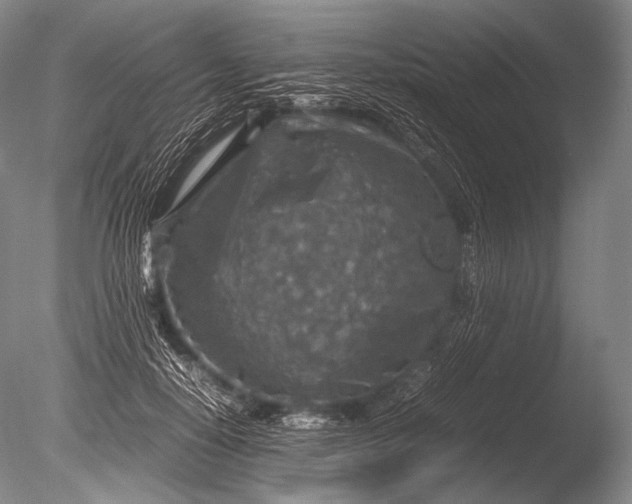 X0000085730650200703301403