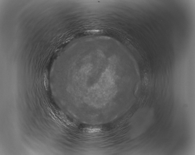 X0000085730651200703301403