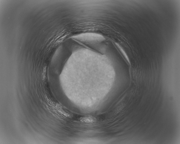 X0000085730652200703301403