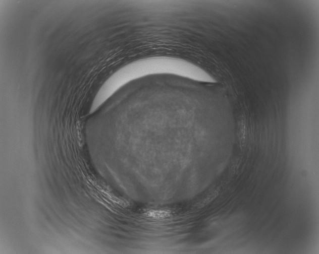 X0000085730653200703301403