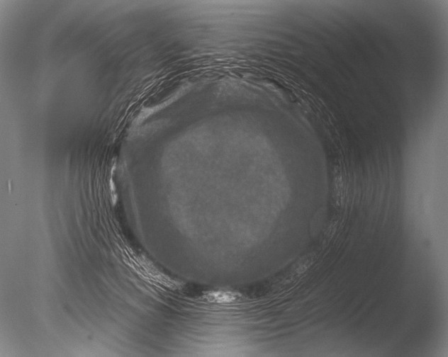 X0000085730654200703301403