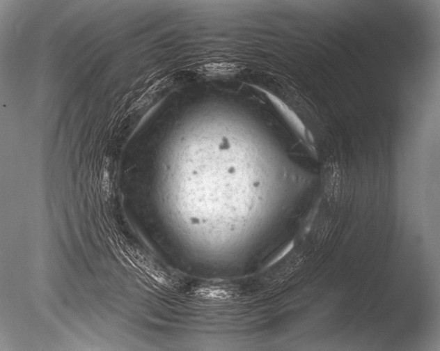 X0000085730655200703301403