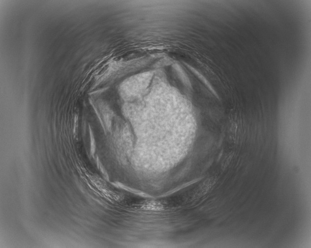 X0000085730656200703301403