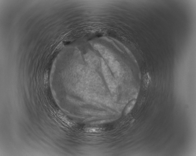 X0000085730657200703301403