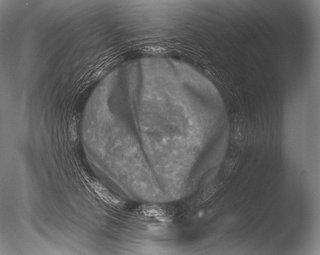 X0000085730658200703301403