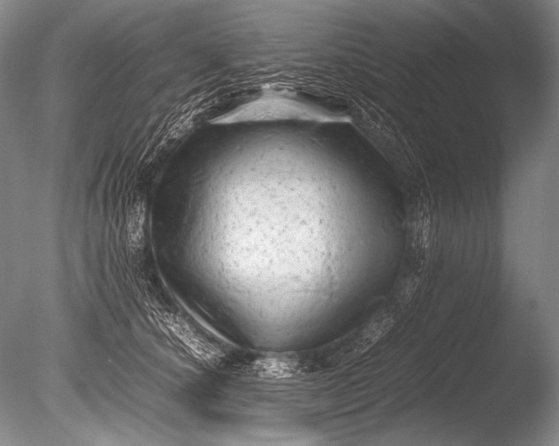 X0000085730660200703301403