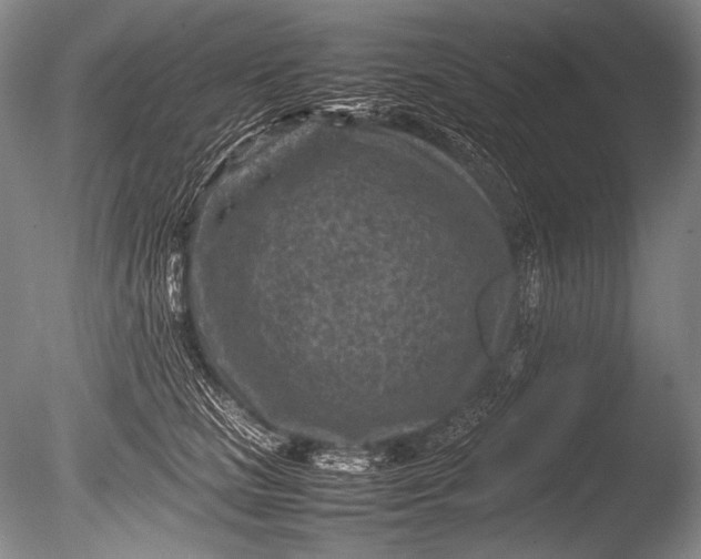 X0000085730661200703301403