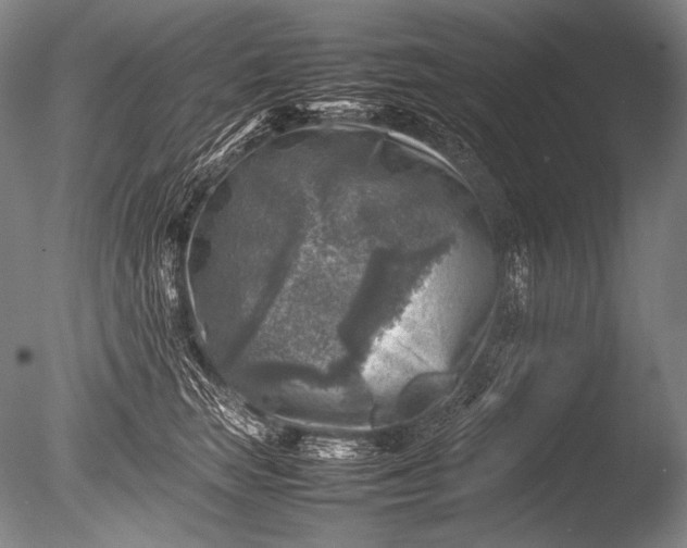 X0000085730663200703301403