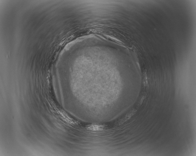 X0000085730664200703301403