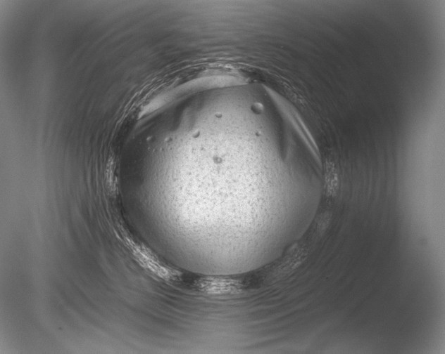 X0000085730670200703301403