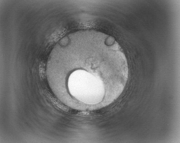 X0000085730672200703301403