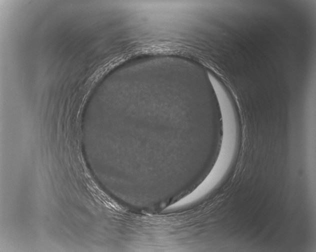 X0000085730673200703301402