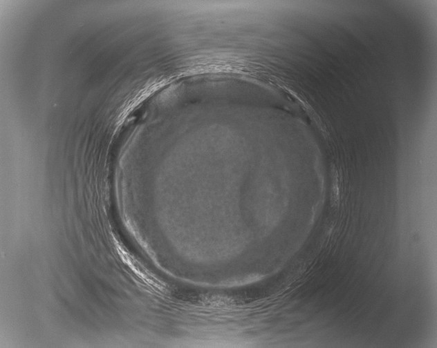 X0000085730677200703301402