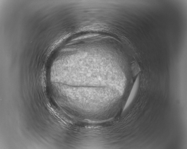 X0000085730680200703301402