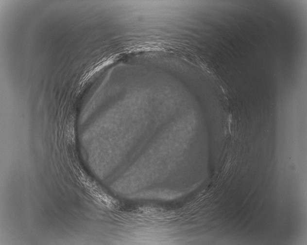 X0000085730681200703301402