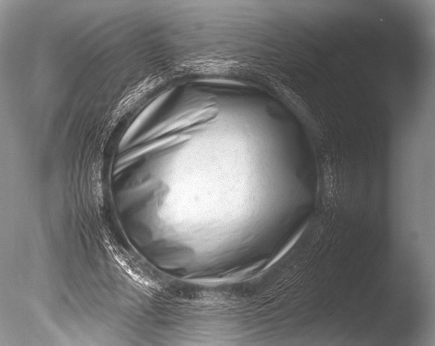 X0000085730682200703301402