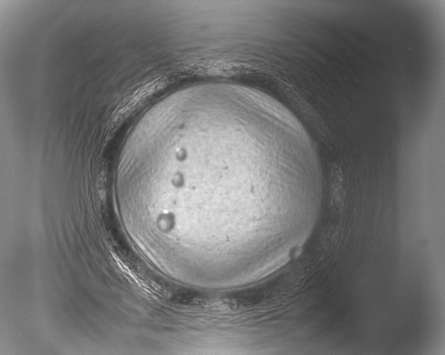 X0000085730683200703301402