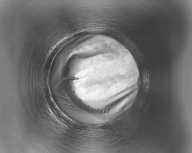 X0000085730684200703301402