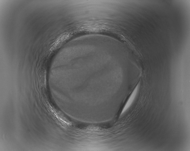 X0000085730685200703301402