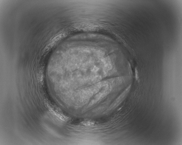 X0000085730687200703301402