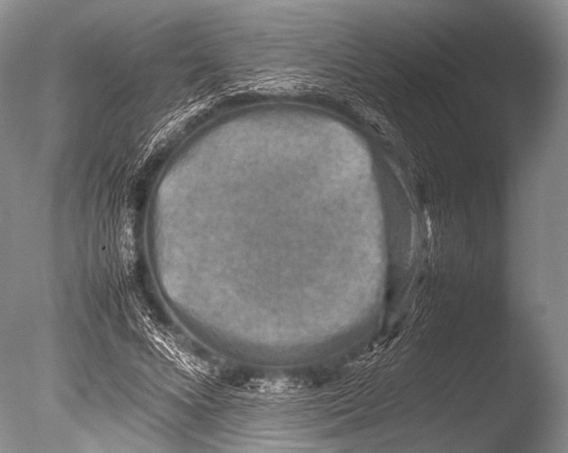 X0000085730688200703301402