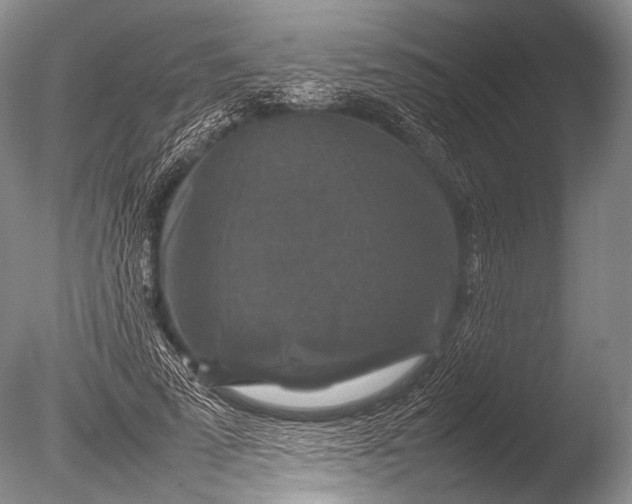 X0000085730689200703301402