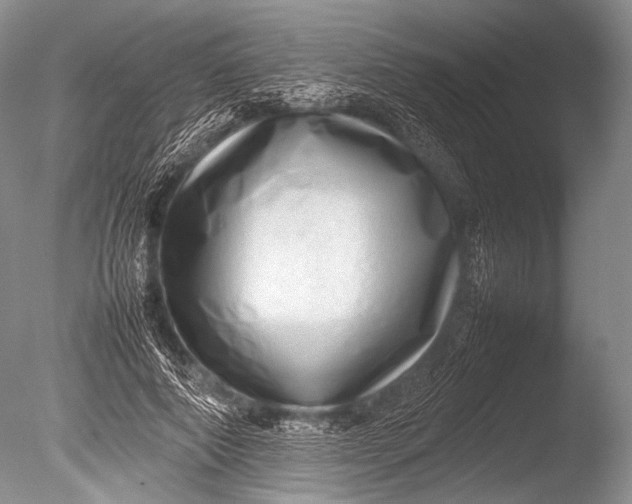 X0000085730690200703301402