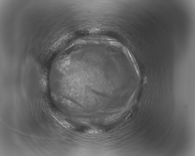 X0000085730691200703301402