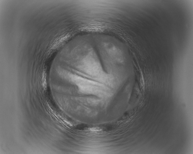 X0000085730692200703301402