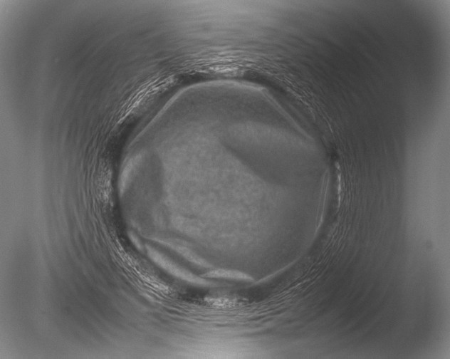 X0000085730693200703301402