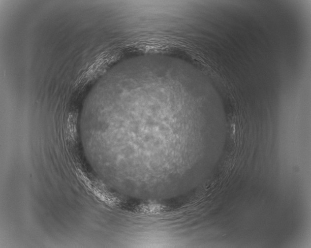 X0000085730695200703301402