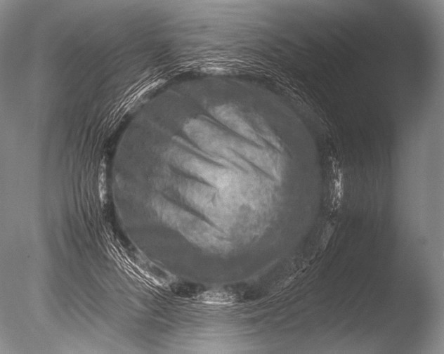 X0000085730696200703301402