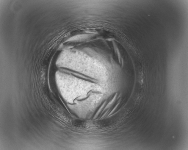 X0000085730697200703301402