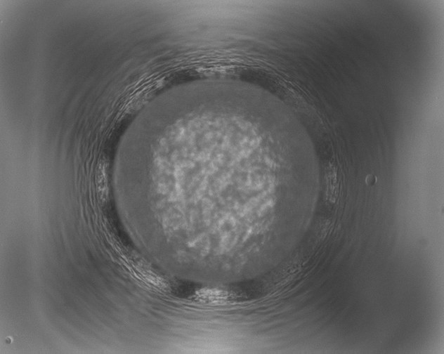 X0000085730699200703301402