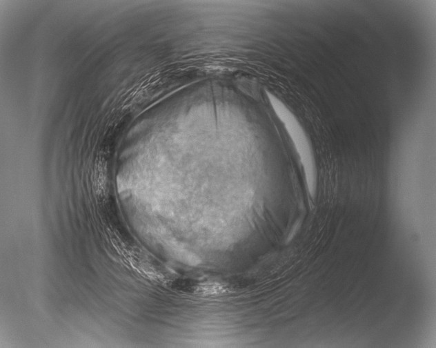 X0000085730704200703301402