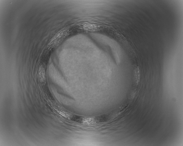 X0000085730705200703301402