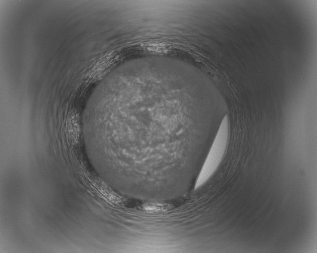 X0000085730707200703301401