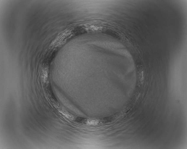 X0000085730709200703301401