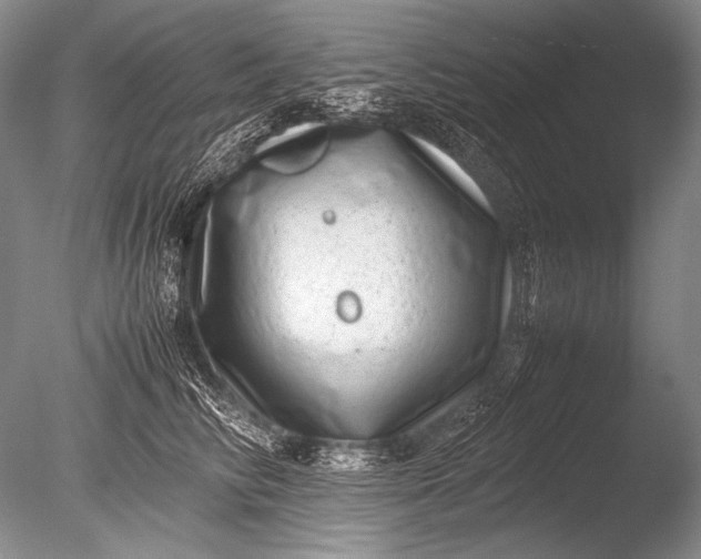 X0000085730710200703301401