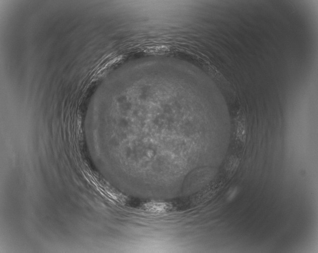 X0000085730711200703301401