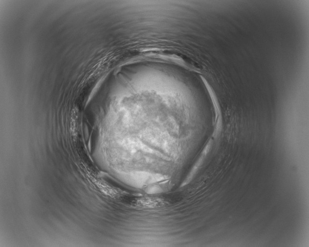 X0000085730712200703301401