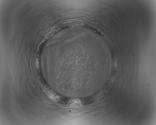 X0000085730715200703301401