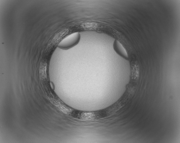 X0000085730717200703301401