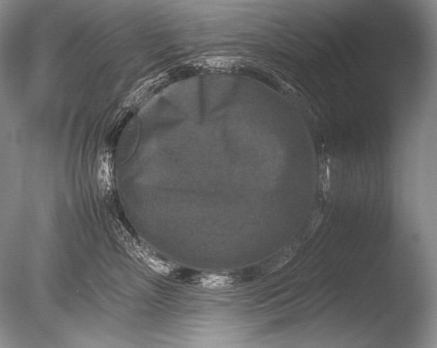 X0000085730718200703301401