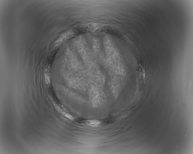 X0000085730719200703301401