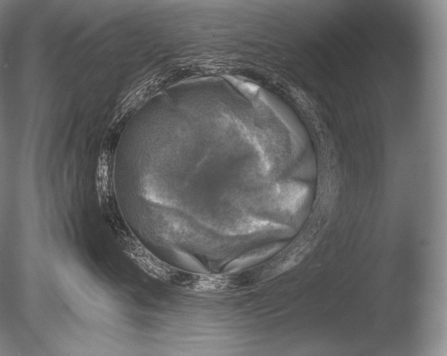 X0000085730720200703301401