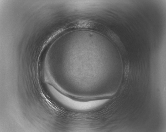 X0000085730722200703301400