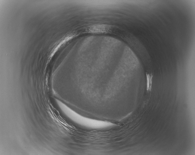 X0000085730723200703301400