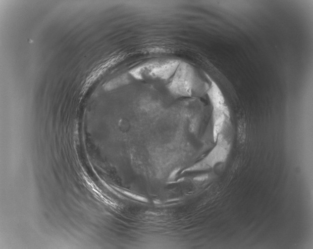 X0000085730725200703301400