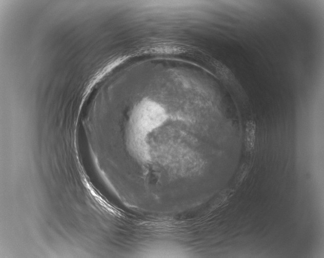 X0000085730726200703301400